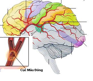 CƠN ĐỘNG KINH (CRISES D’EPILEPSIE)