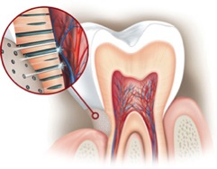 Răng nhạy cảm: Nguyên nhân và điều trị
