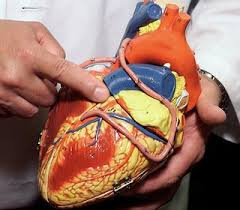 6 dấu hiệu thường gặp trong bệnh tim mạch